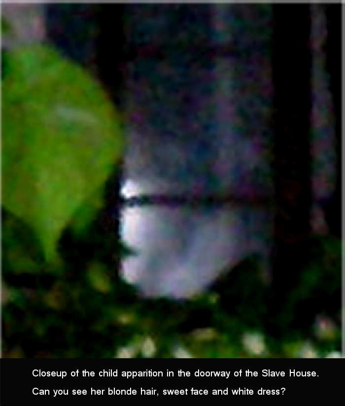 iberia_photo_evidence