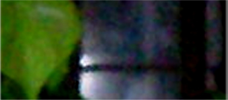 iberia_photo_evidence